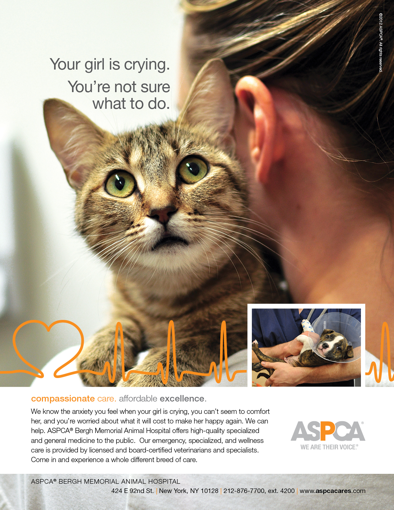 Aspca Bergh Memorial Hospital Ad Welcome To The Ad Lab